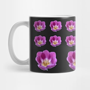 Tulipa 'Purple Flag' Triumph Tulip Mug